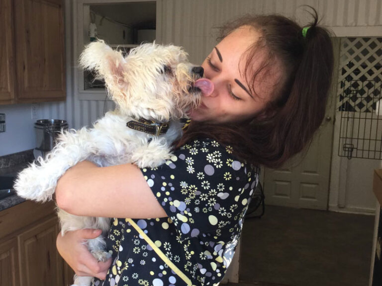 Dog Boarding Anderson, Six Mile, Sunset, SC Dog Resort